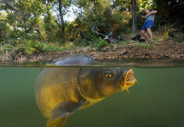 Ma passion !!! - 55431429311212079403029687441n.jpg